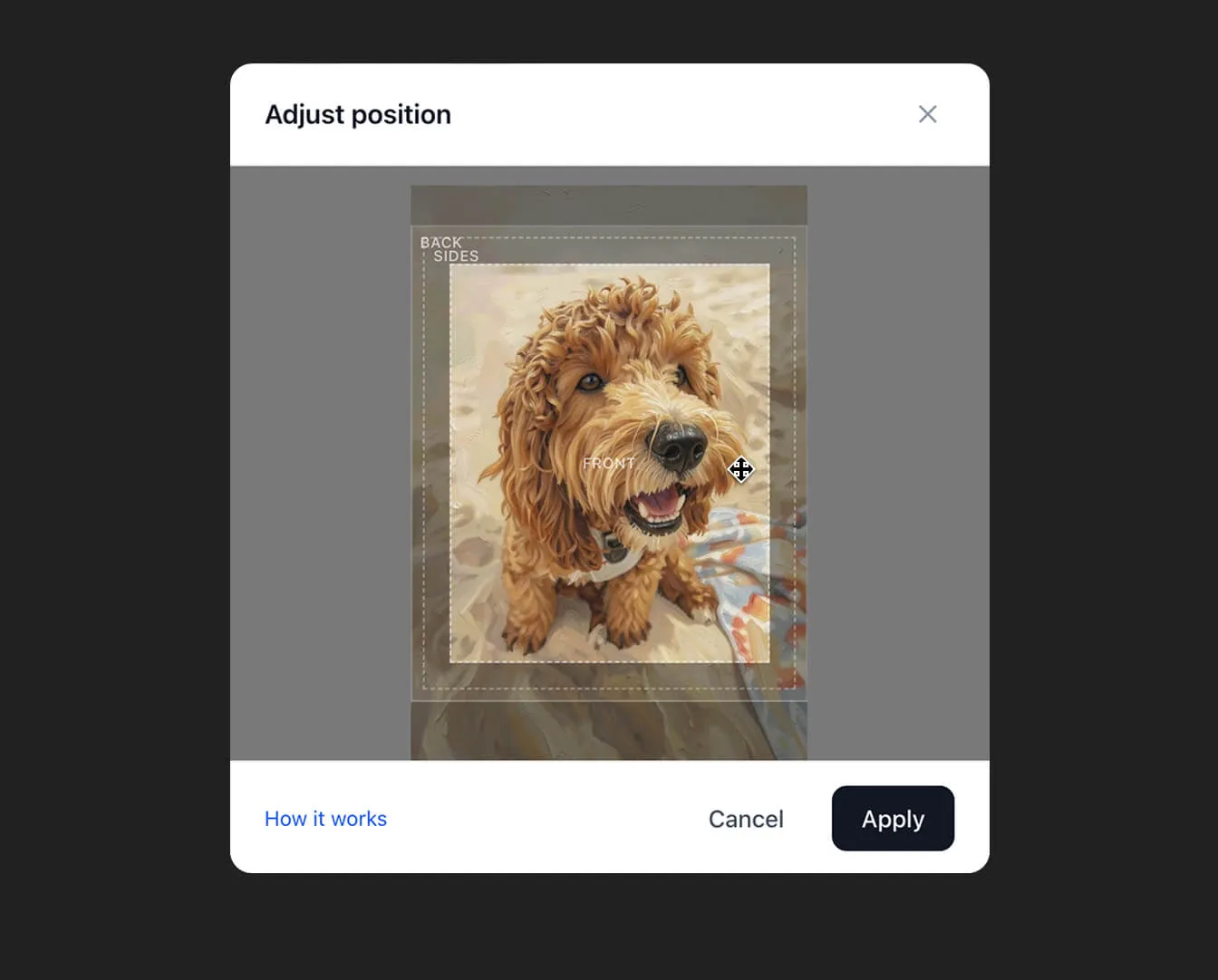 Adjust position modal showing front and sides zones on canvas